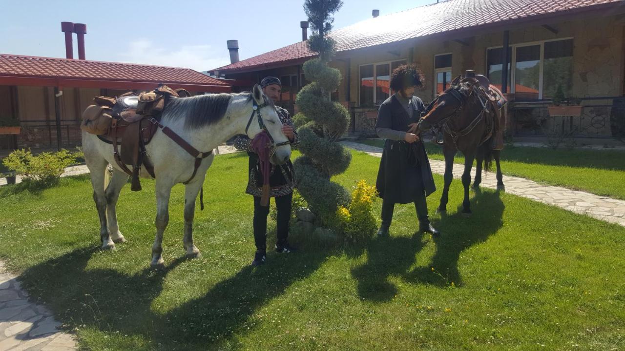 Zedazeni Hotel Mtsʼkhetʼa Buitenkant foto